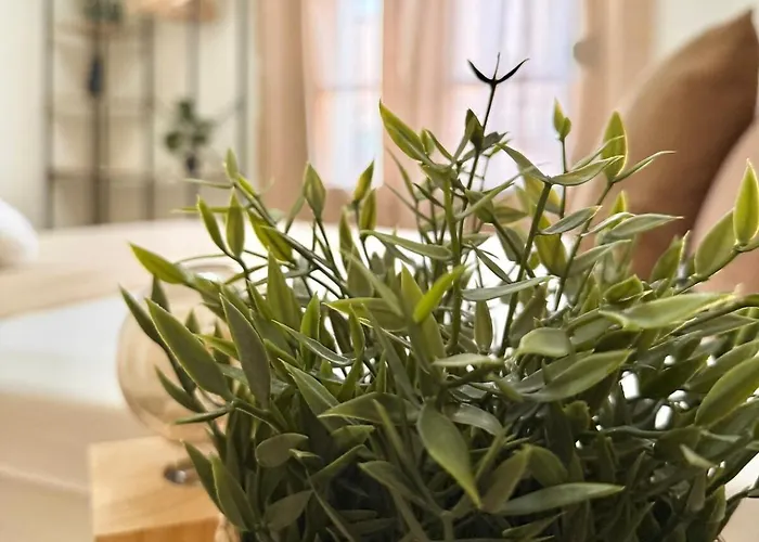 Piso Reformado Con Historia En Cada Rincon-vive Xiv Appartamento *